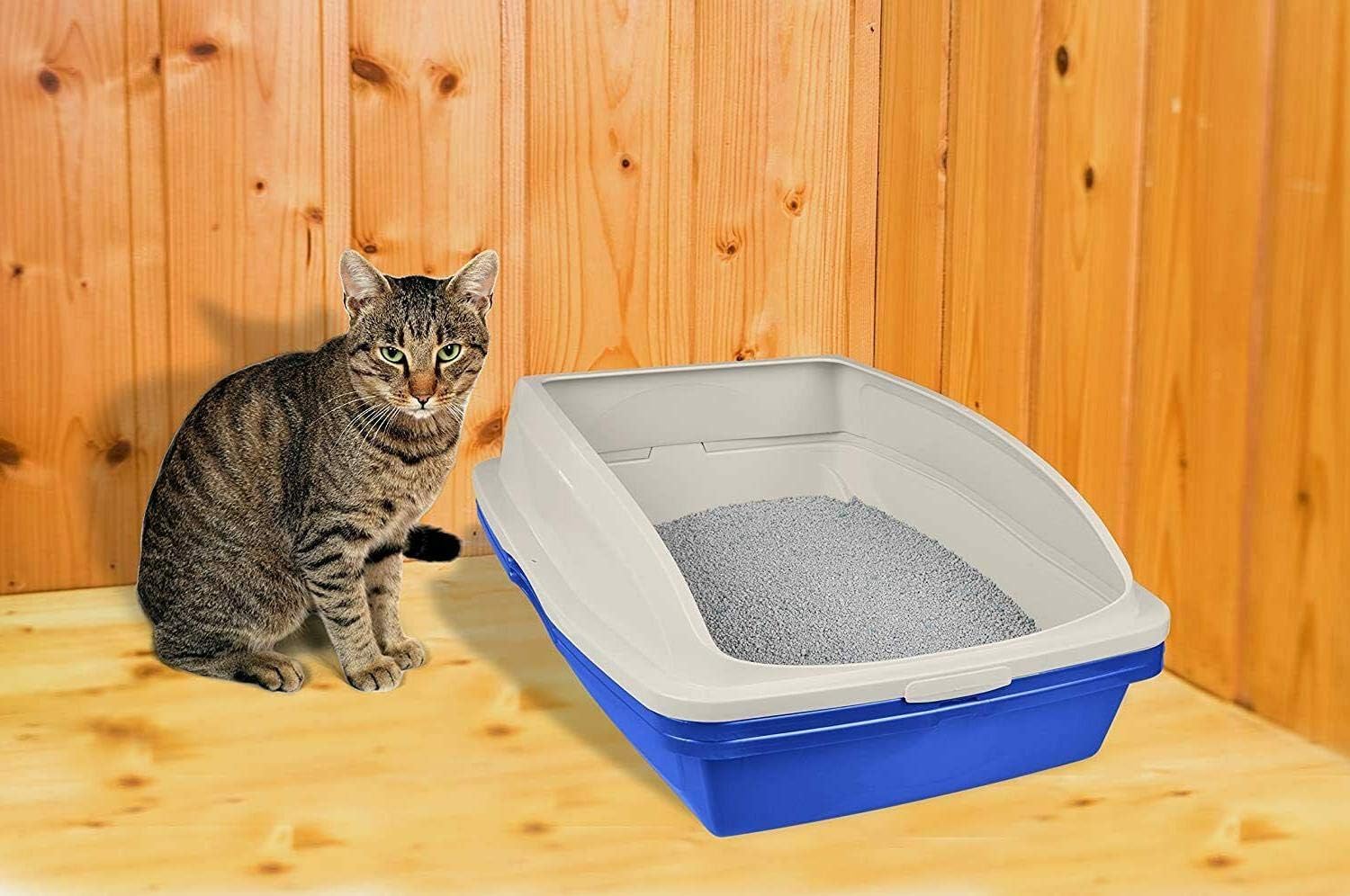 Van Ness Framed Sifting Cat Litter Pan