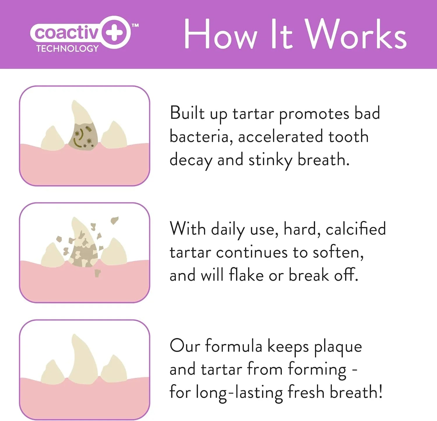 Skout's Honor Dog & Cat Dental Wipes, 50 Count
