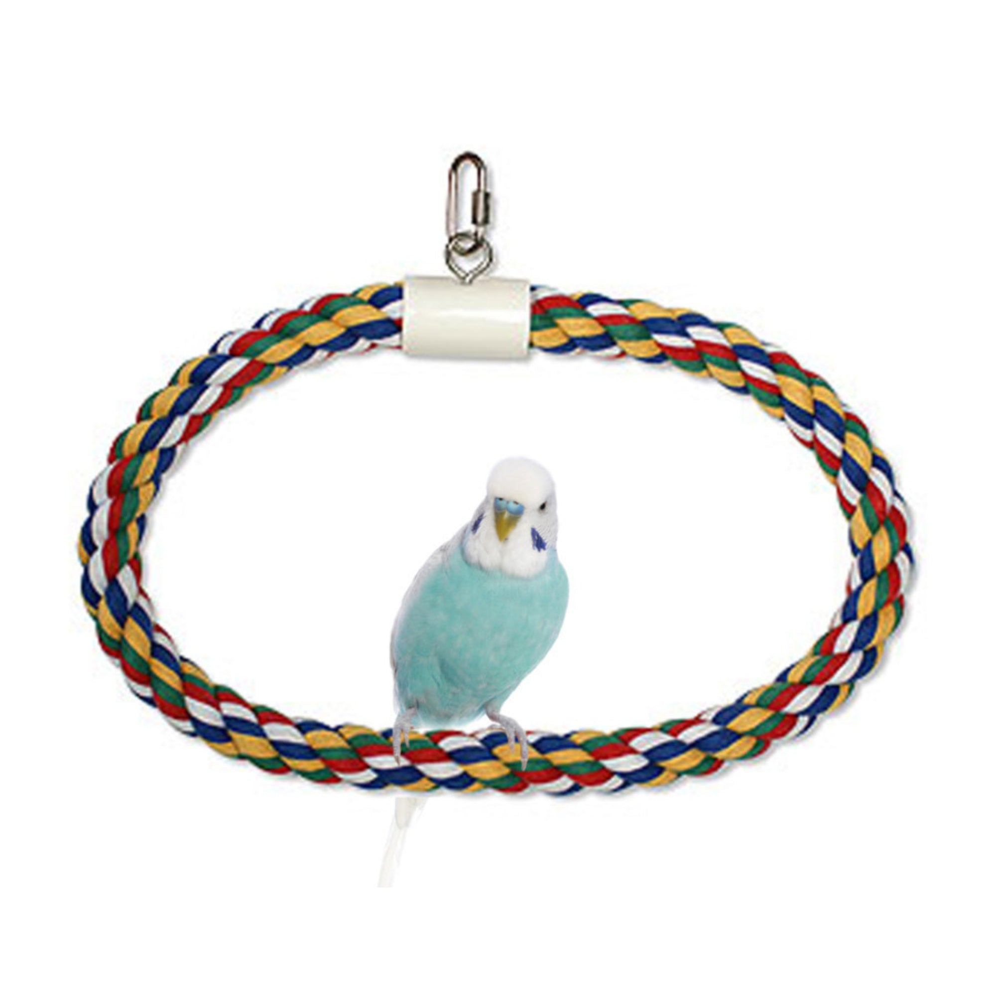 JW Pet Swing N Perch Ring Multi-Color L