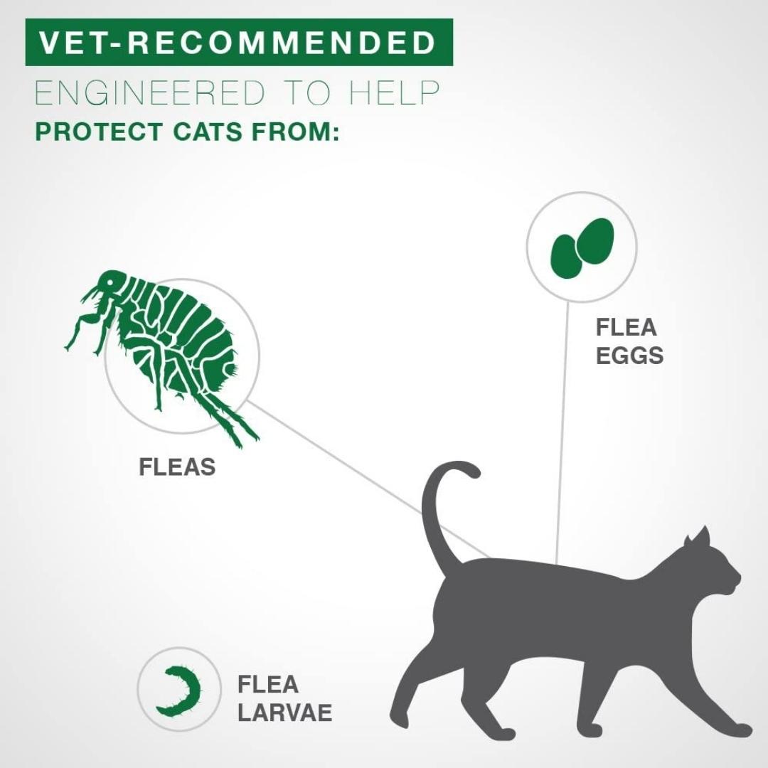 Advantage II Flea Treatment for Small Cats 5-9 lbs, Single Dose