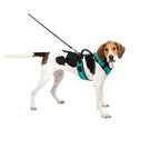 Petsafe Dog Easy Sport Harness Teal Small