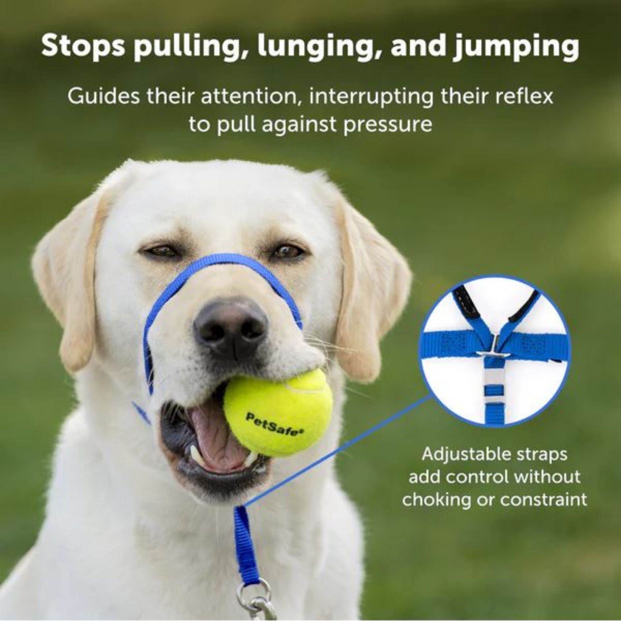 PetSafe Dog Gentle Leader Head Collar Royal Blue Large