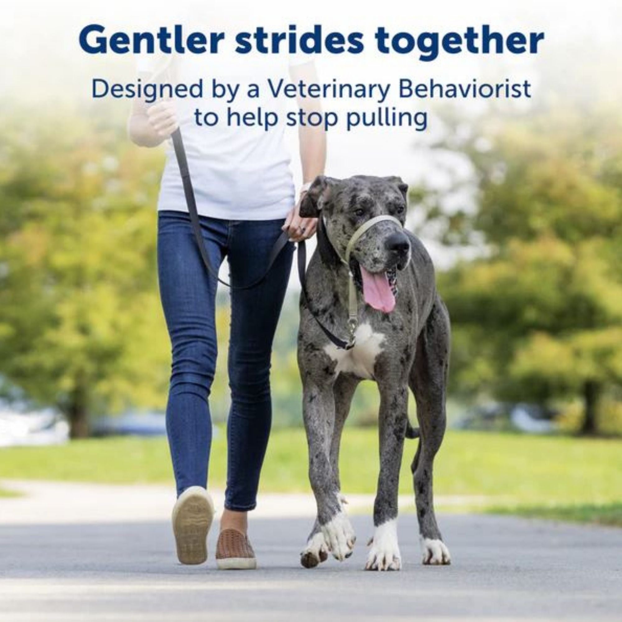 PetSafe Dog Gentle Leader Head Collar Black Large