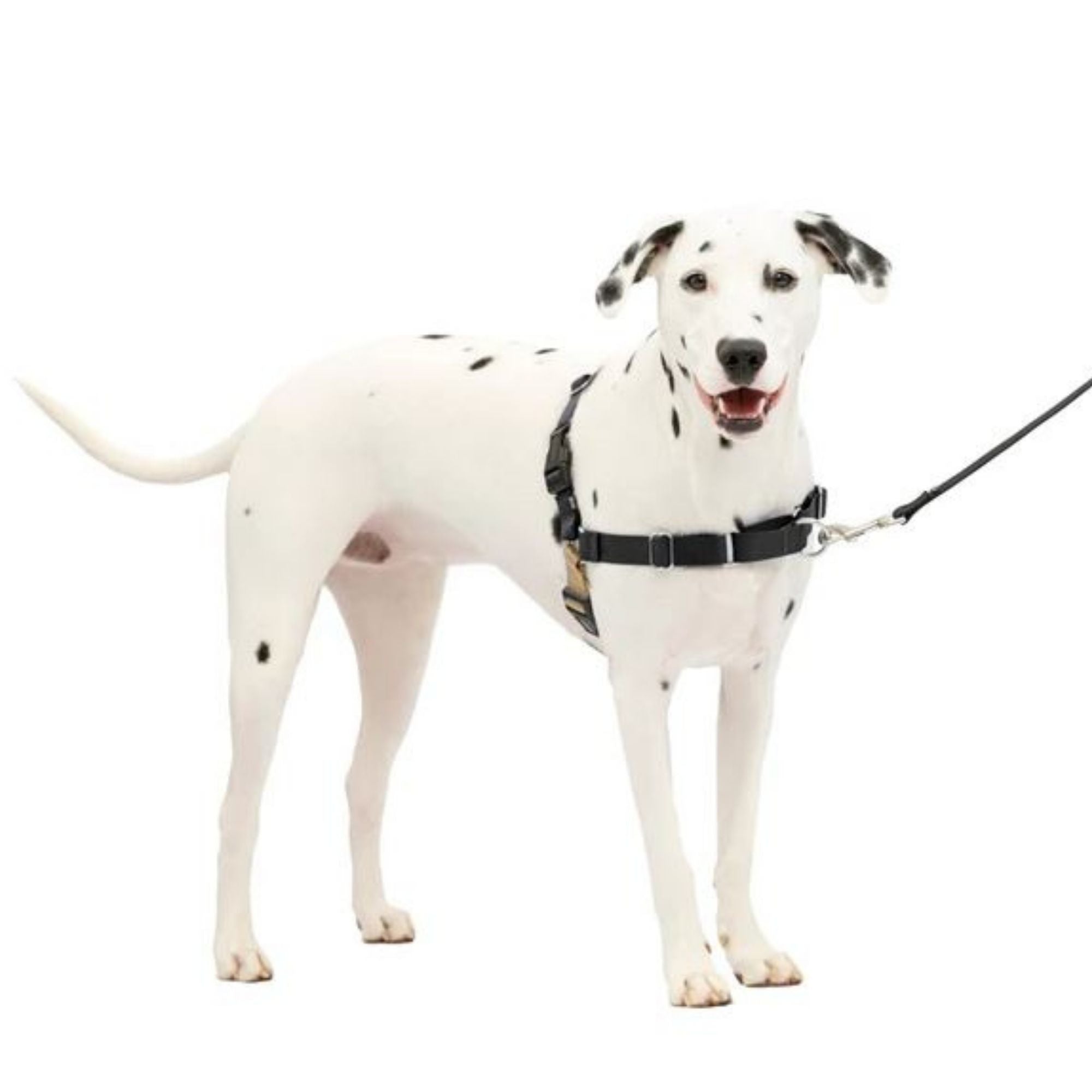 PetSafe Easy Walk No-Pull Harness