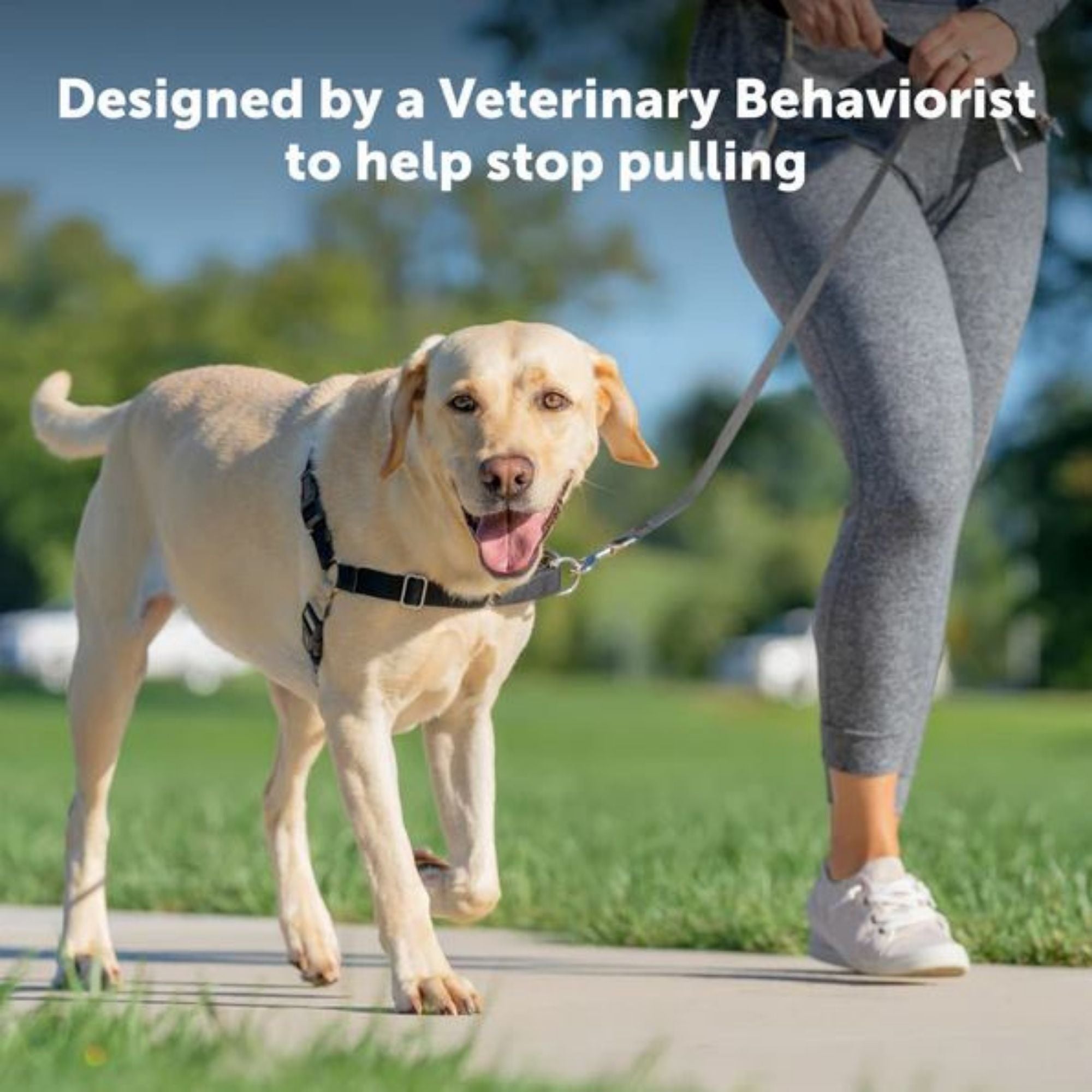 PetSafe Easy Walk No-Pull Harness
