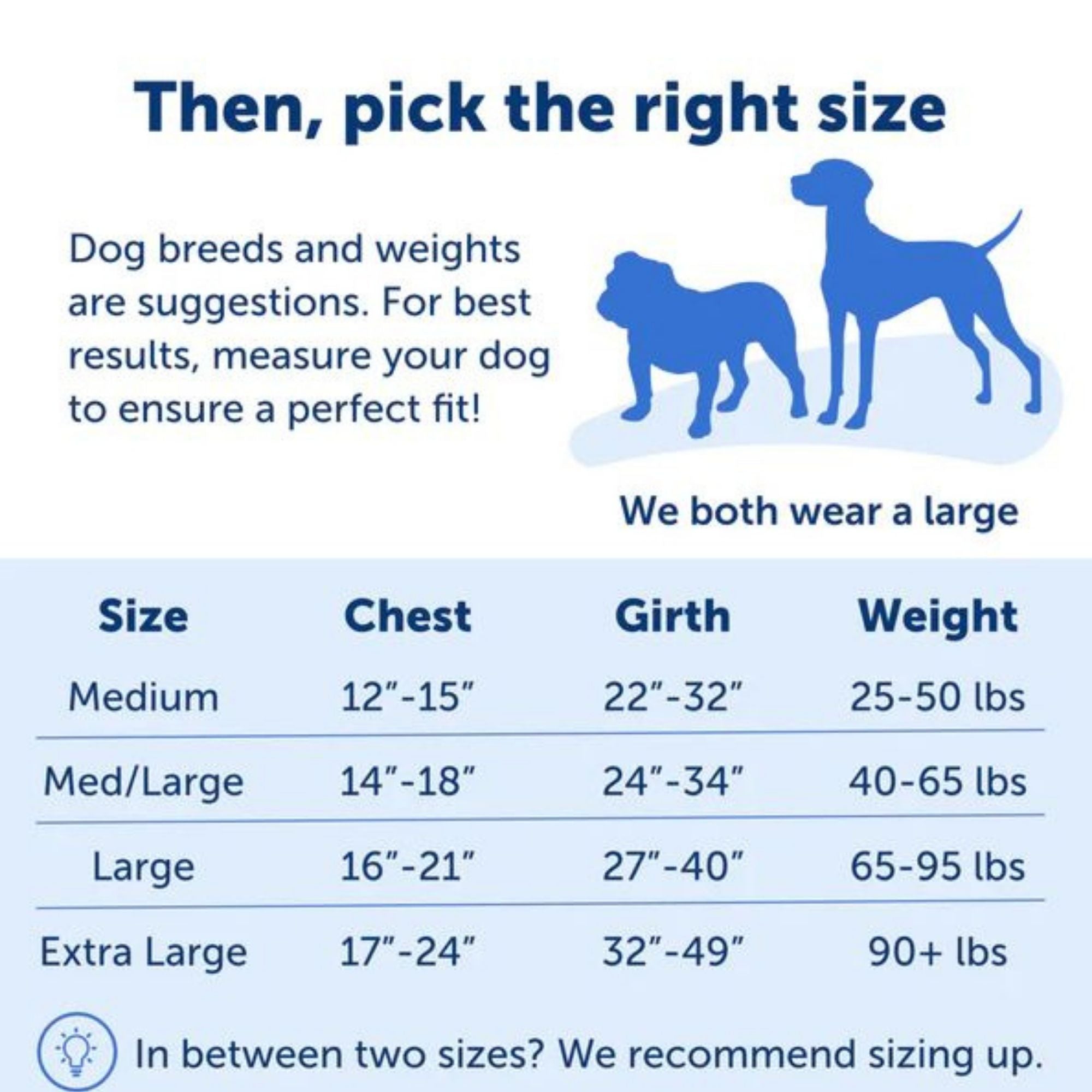 PetSafe Easy Walk No-Pull Harness