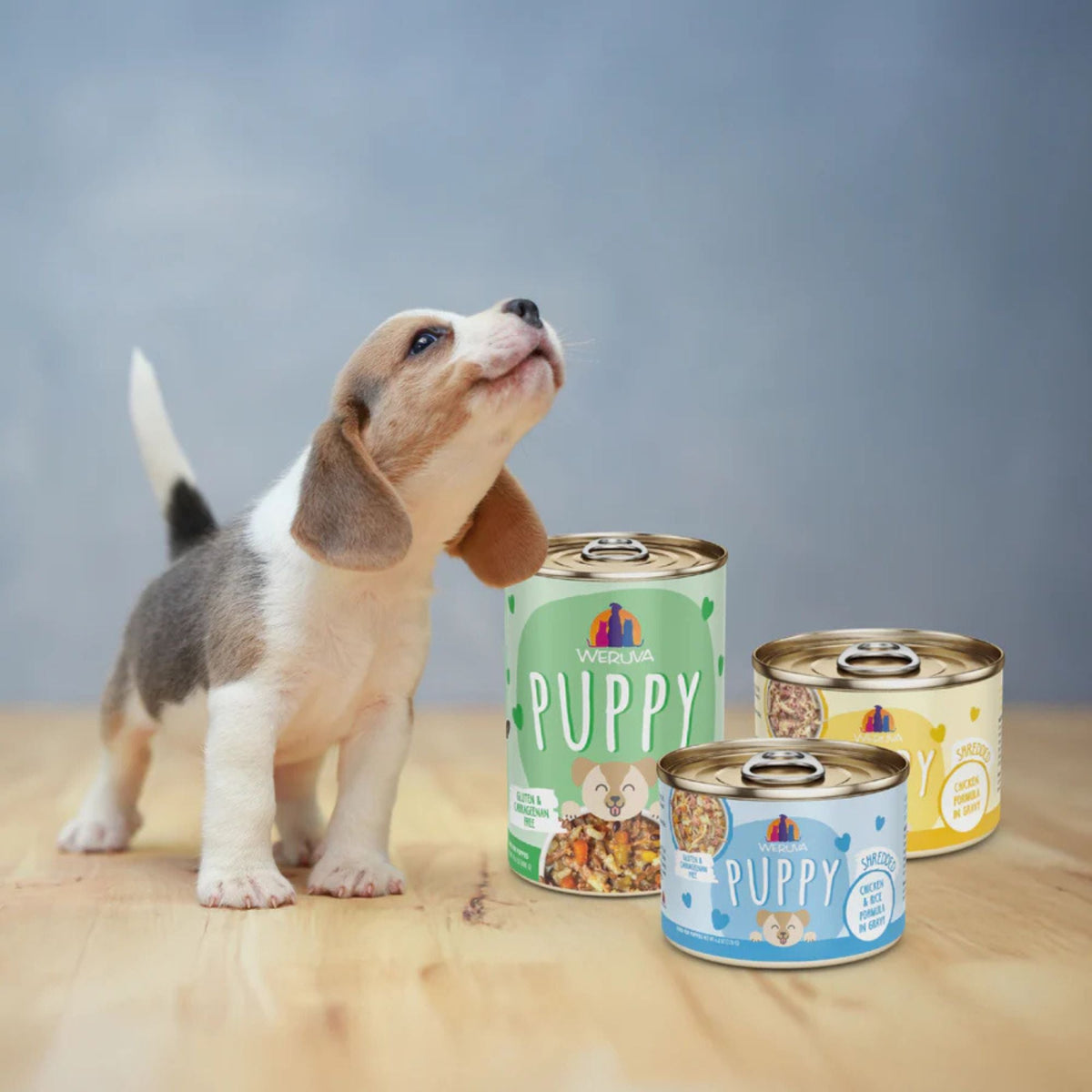 Weruva Dog Puppy Chicken Formula 14oz. - (Case of 10)