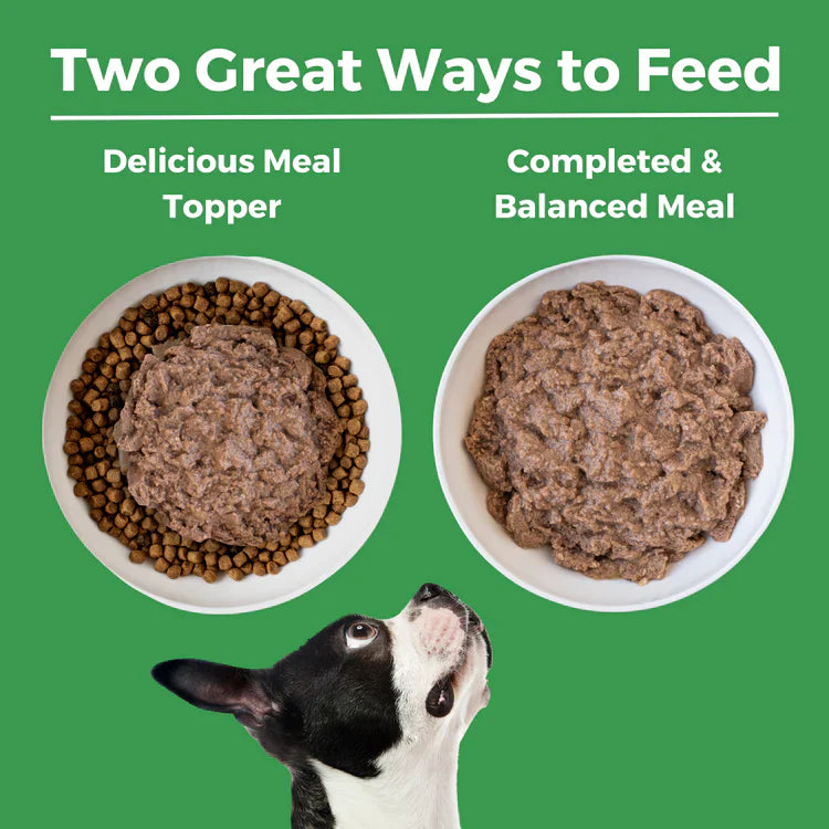 Koha Limited Ingredient 90% Turkey Wet Dog Food, 13 oz (Case of 12)