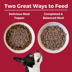 Koha Dog Limited Ingredient Grain Free 90% Beef 13oz. (Case of 12)