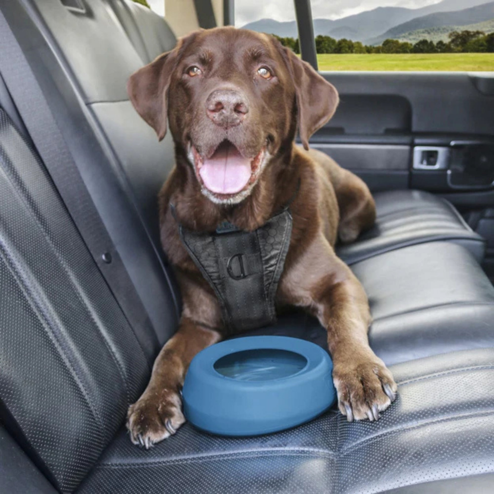 Kurgo Dog Wander Splash Free Water Bowl Blue