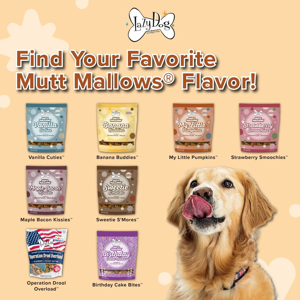 Lazy Dog Mutt Mallow Pumpkin Dog Treats 5oz. (Case of 3)