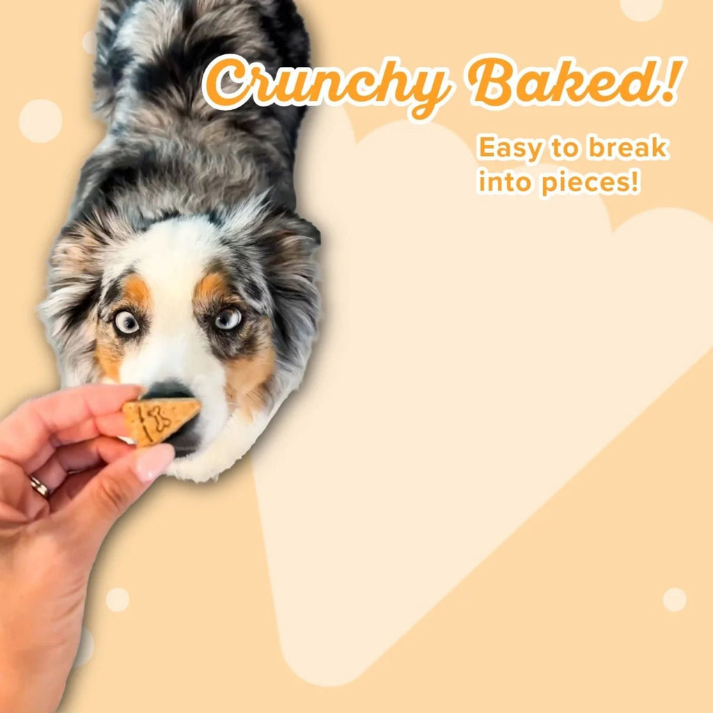 Lazy Dog Ginger Glazed Pumpkin Carrot (Wheat, Corn & Soy Free) Dog Treat 14oz.