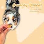 Lazy Dog Ginger Glazed Pumpkin Carrot (Wheat, Corn & Soy Free) Dog Treat 14oz.