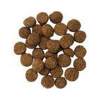 Go! Dog Digestion & Gut Health Salmon Ancient Grain 22Lb
