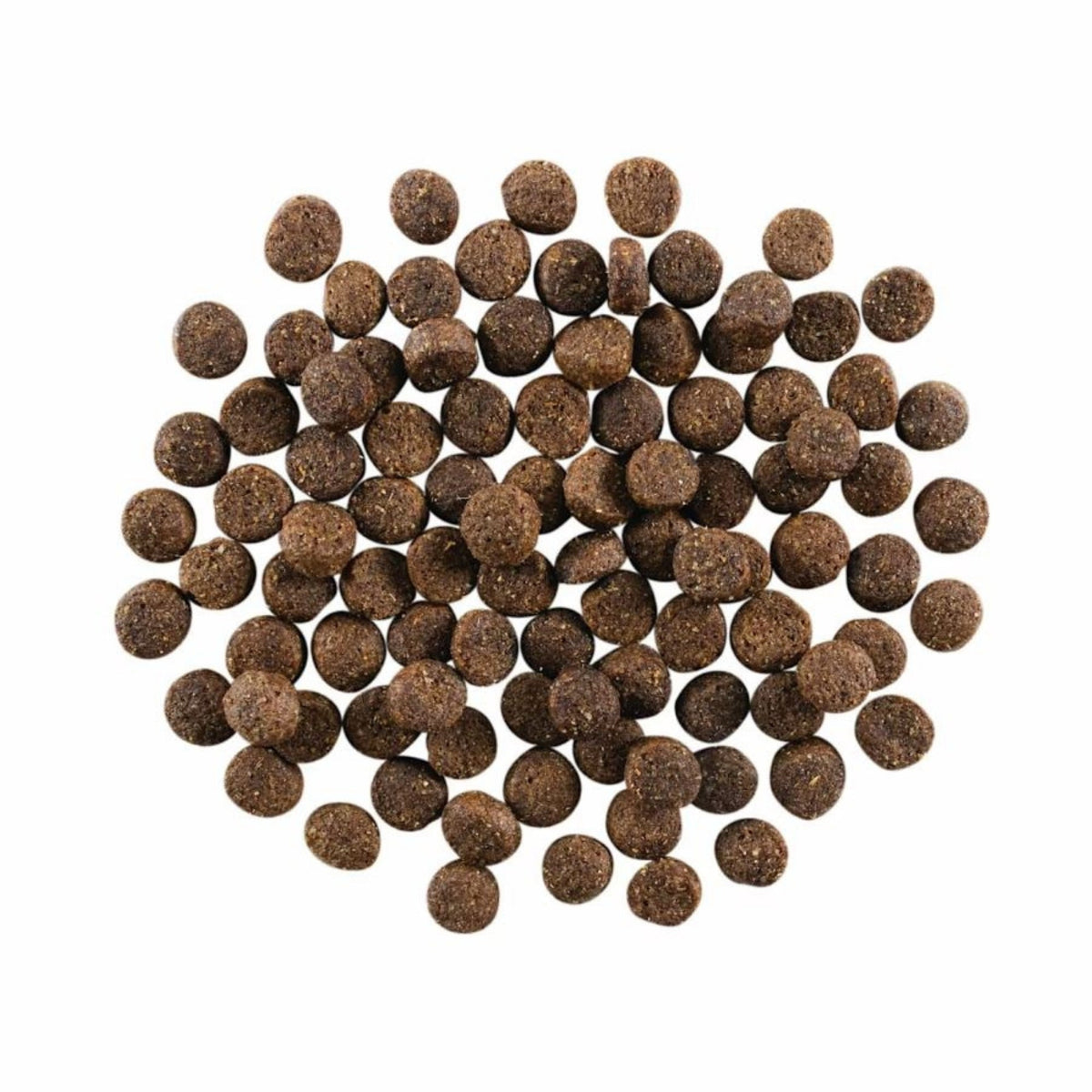 Go! Dog Skin & Coat Care Lamb With Grain 22Lb