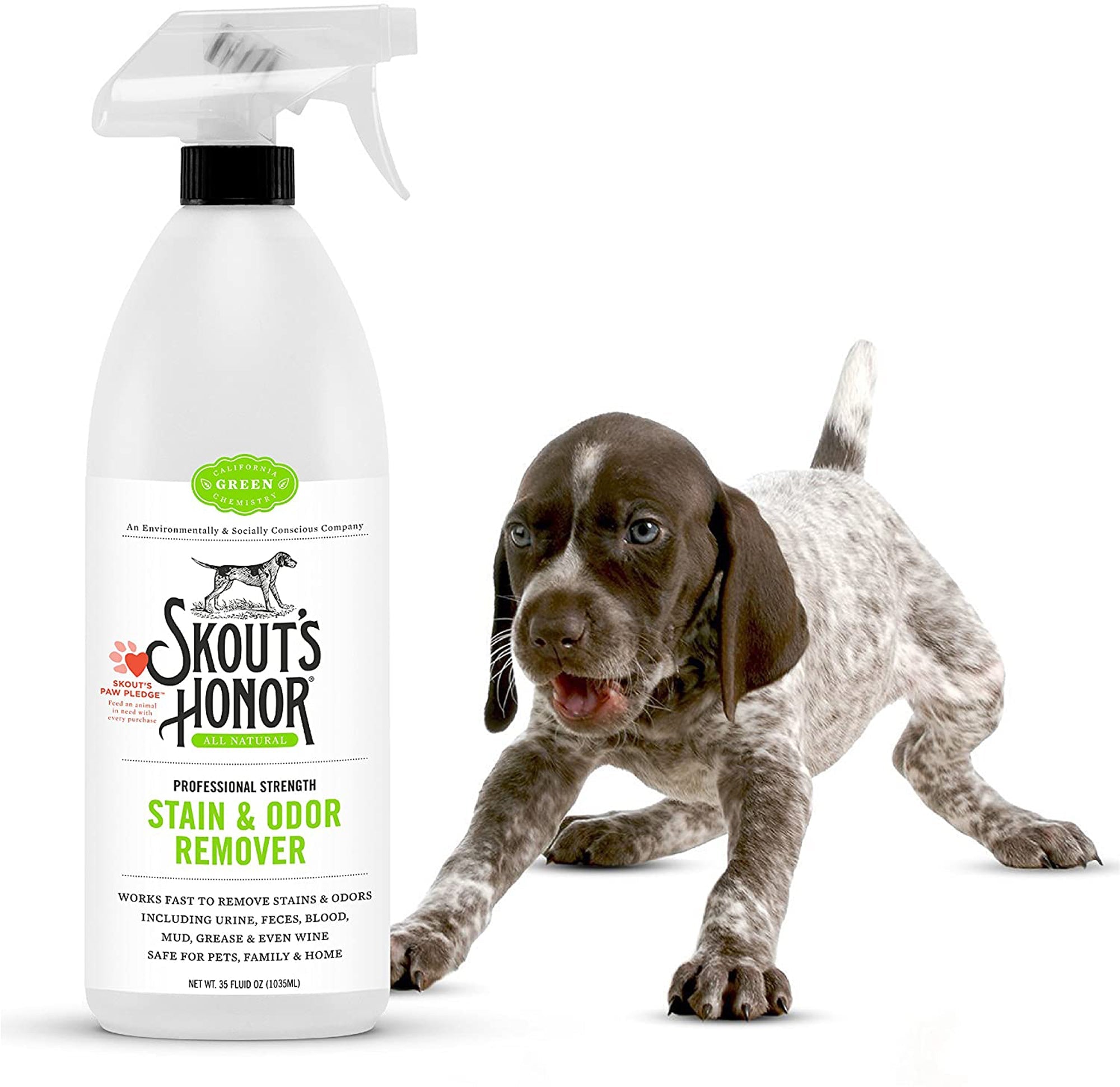 Skout's Honor Dog Remover Stain and Odor 35Oz