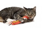 Petstages Green Magic Dynamite Catnip Toy Red
