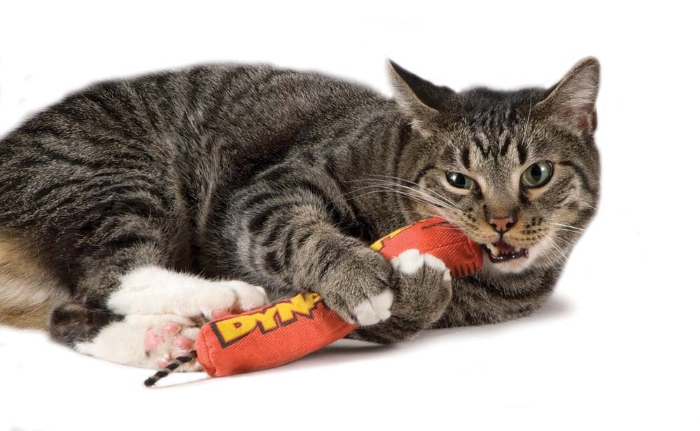 Petstages Green Magic Dynamite Catnip Toy Red