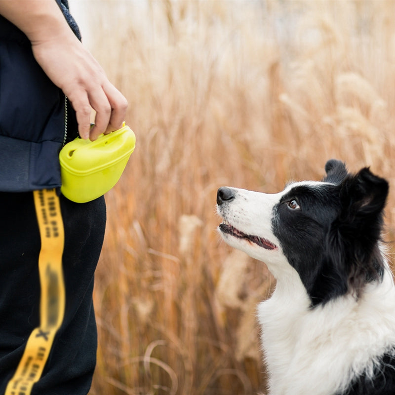 Silicone Dog Treat Pouch