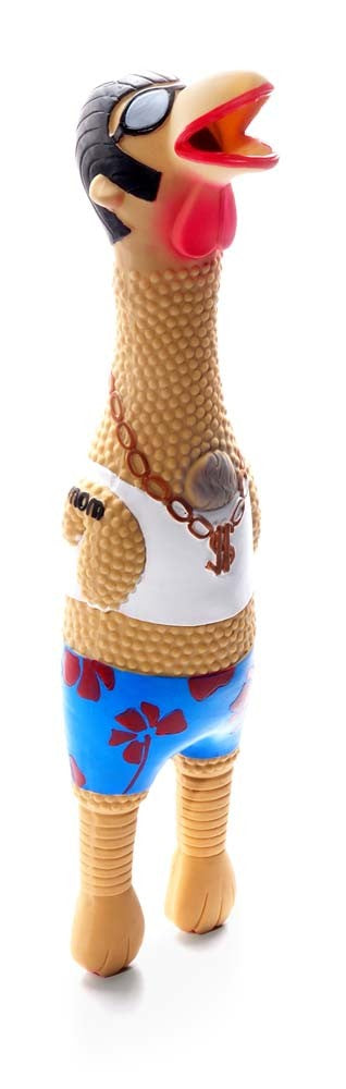 Charming Pet Products Squawkers Earl Dog Toy Multi-Color L