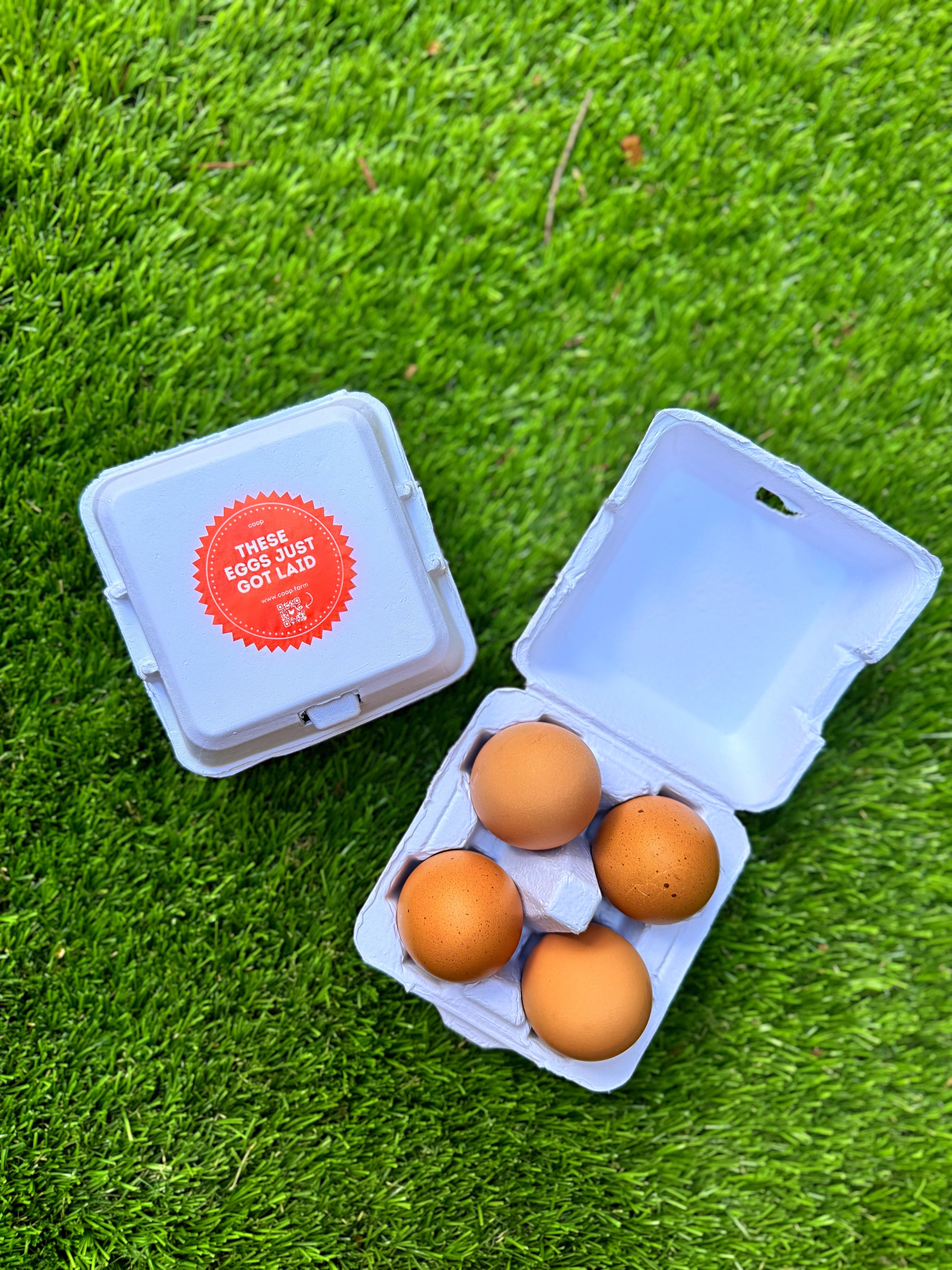 "Just Got Laid" 4-Egg Carton