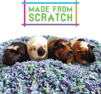 CareFRESH Sea Glass Small Animal Bedding