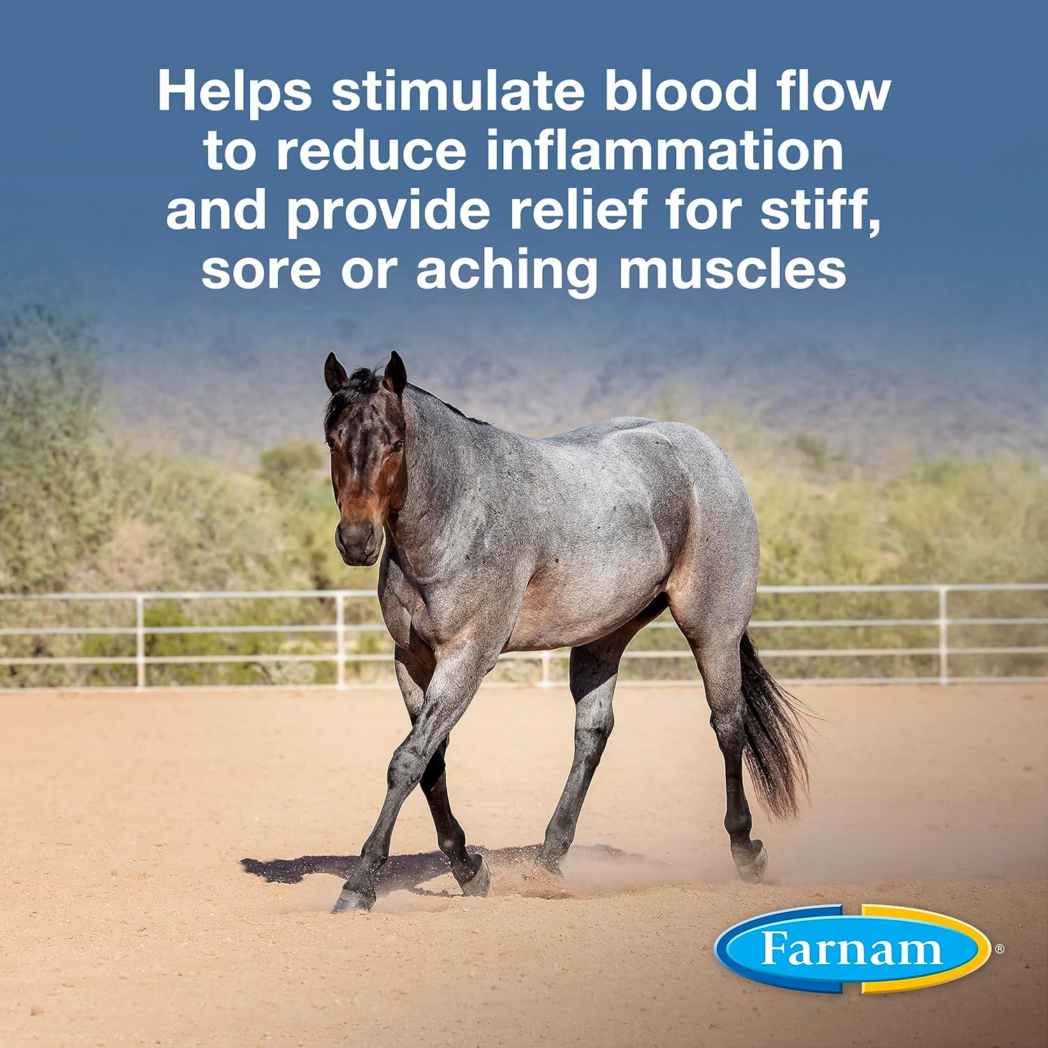 Farnam Vetrolin Liniment