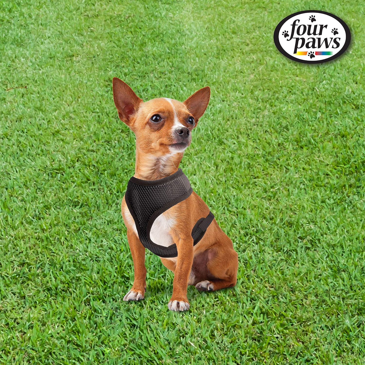 Four Paws Comfort Control Harness
