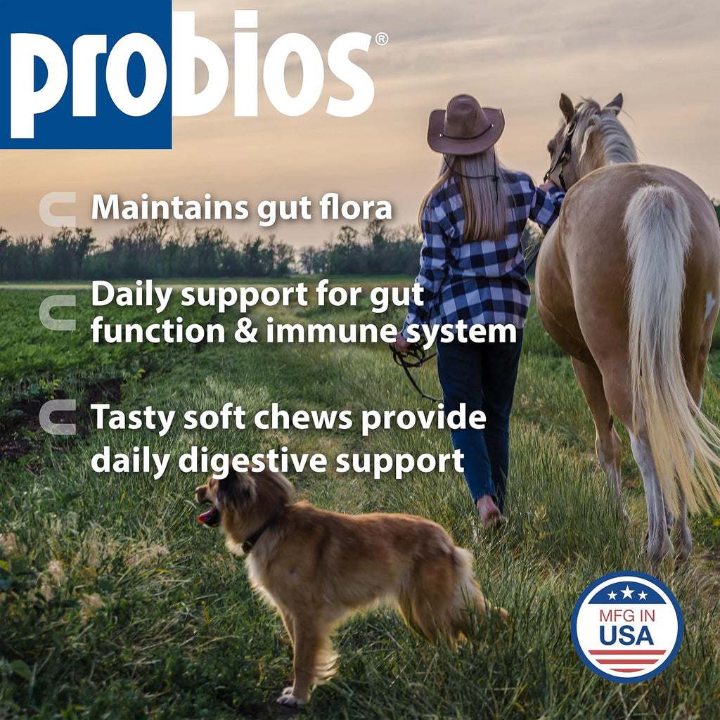 Probios Horse Soft Chews
