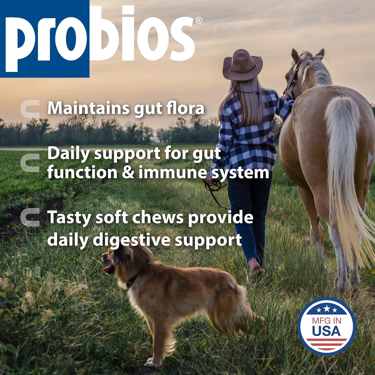 Probios Horse Soft Chews