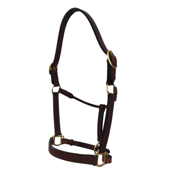 Deluxe Leather Halter, Double Buckles, Polished Brass Hardware #92010
