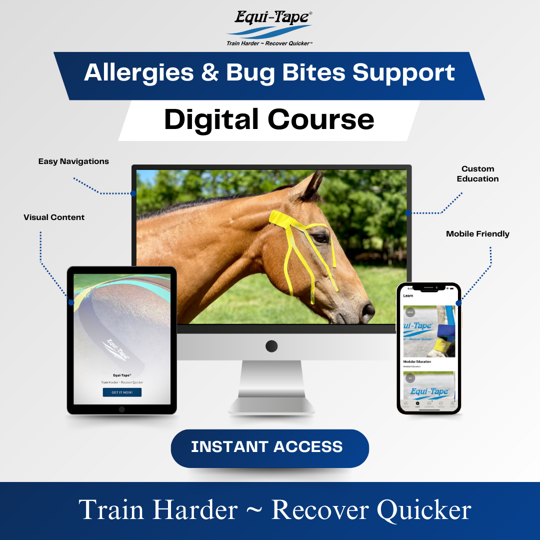 Practical Solutions À LA CARTE