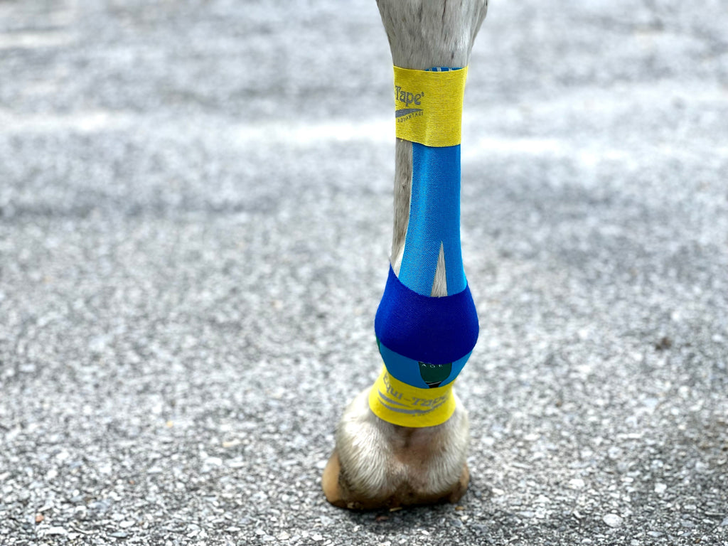 Equi-Tape® Advanced Education Package