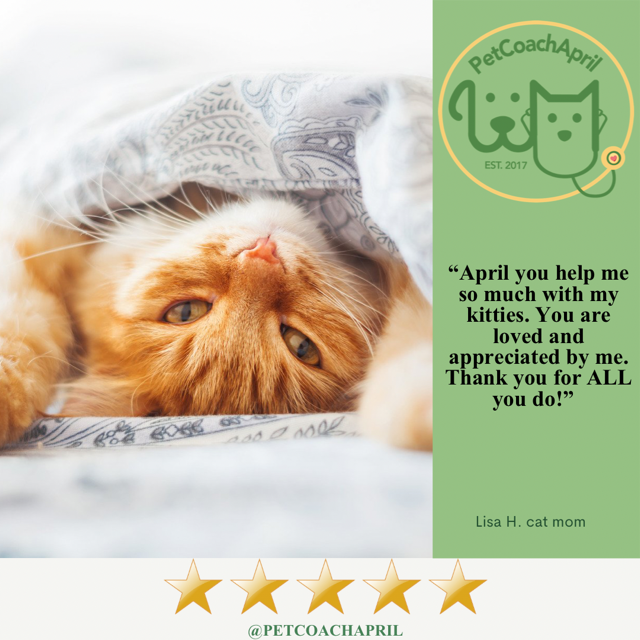 PET HEALTH & BEHAVIOR CONSULTS