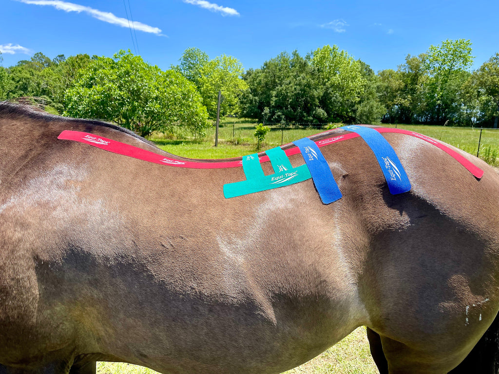 Equi-Tape® Fundamentals Course & Module Bundle