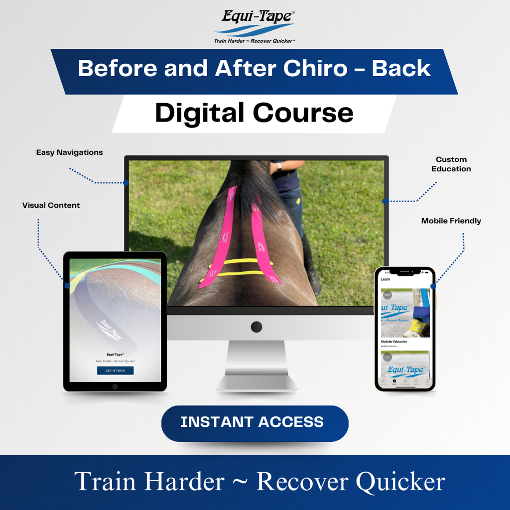 Practical Solutions À LA CARTE