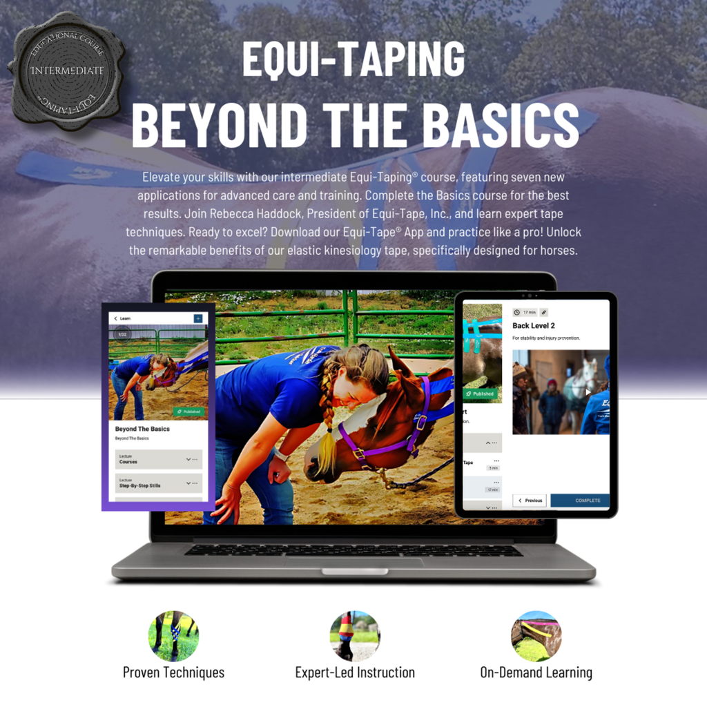 Equi-Taping® Beyond The Basics