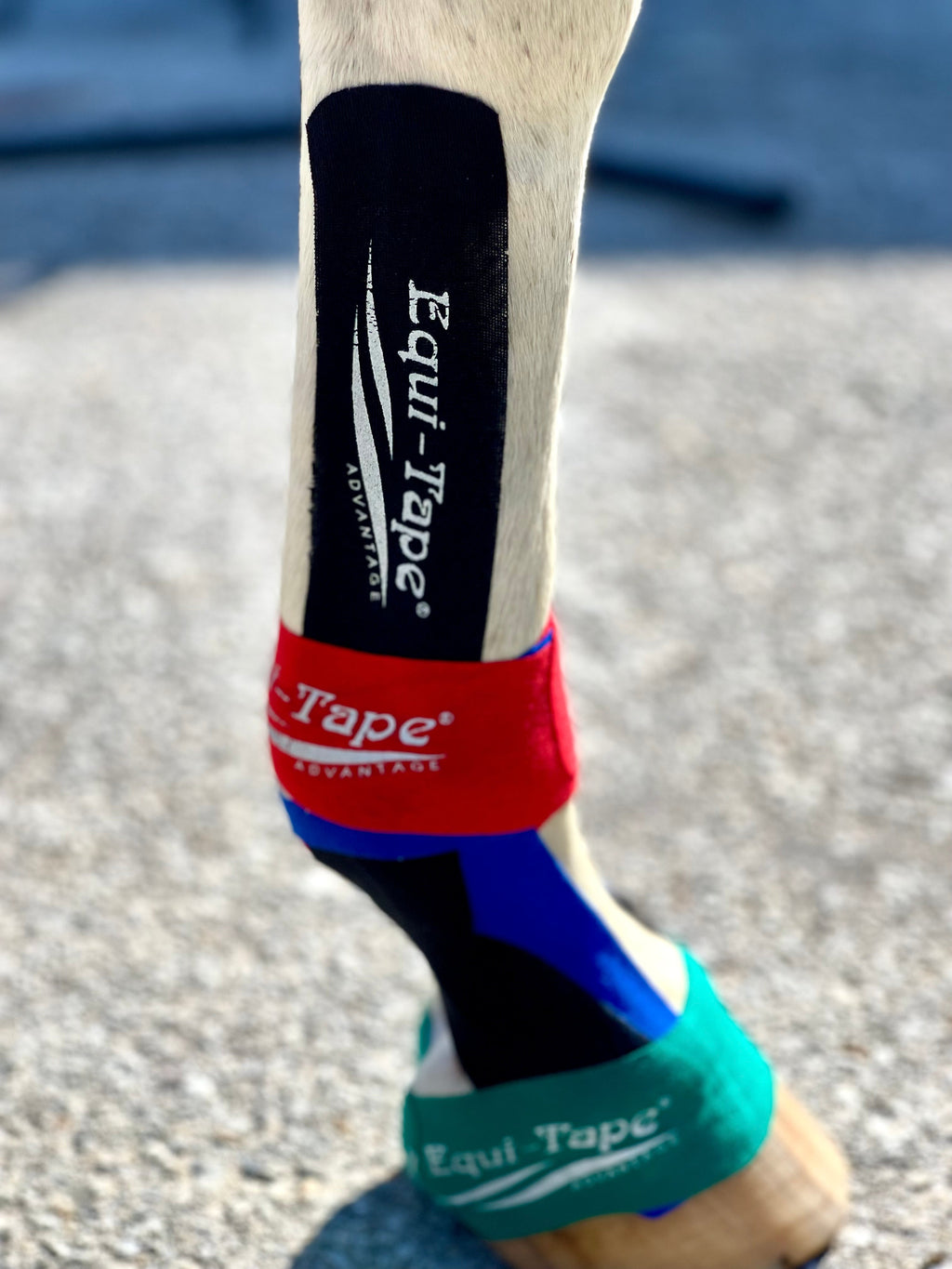 Equi-Tape® Advanced Education Package