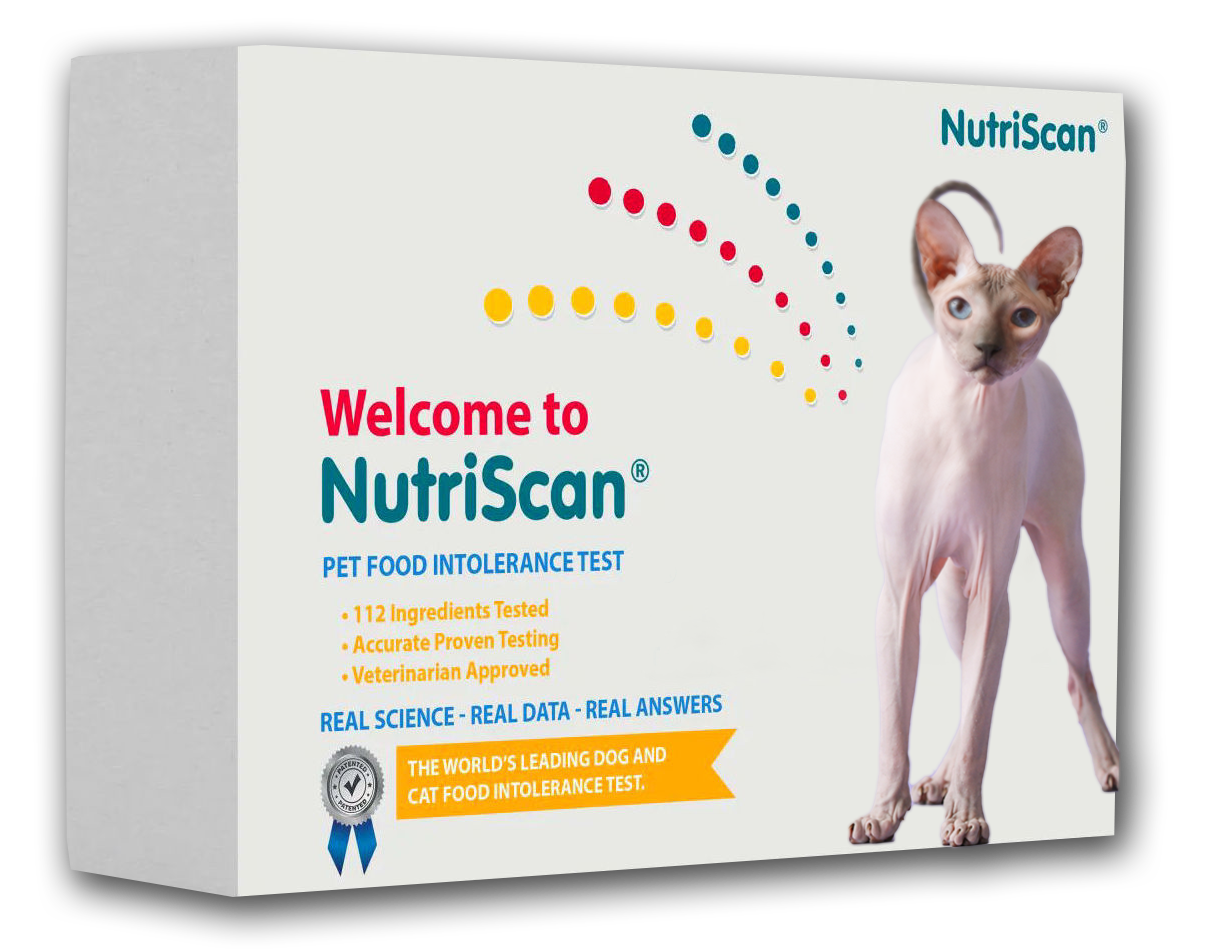 CAT FOOD ALLERGY / SENSITIVITY TEST!