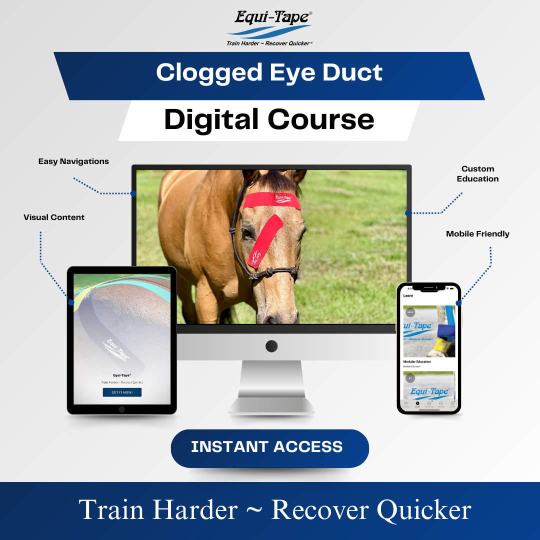 Practical Solutions À LA CARTE