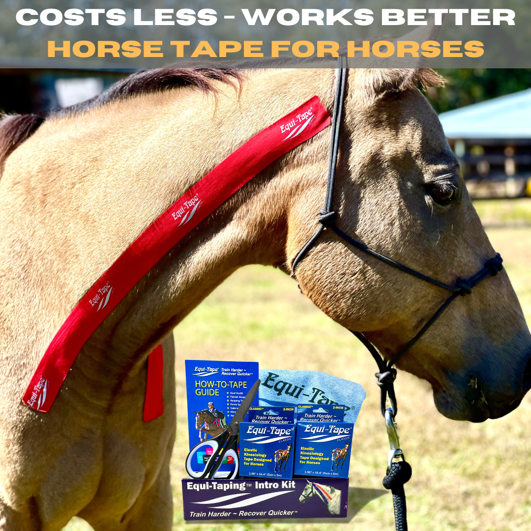Equi-Taping® Kit