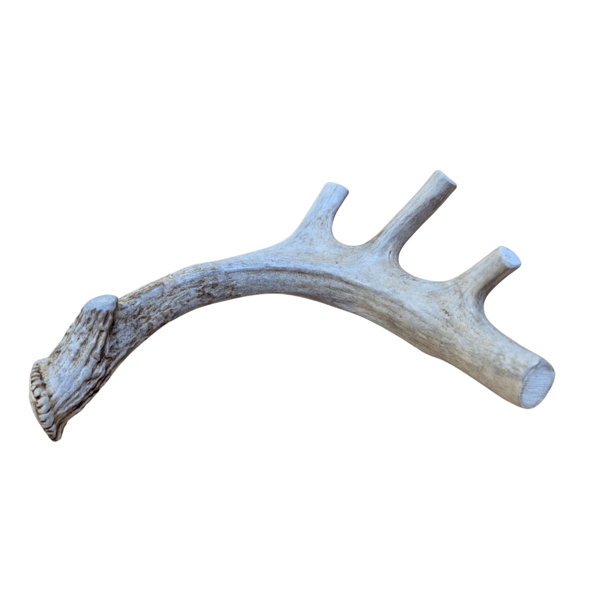 DEER ANTLER DOG CHEWS | ORGANIC CHEW FOR LARGE DOGS