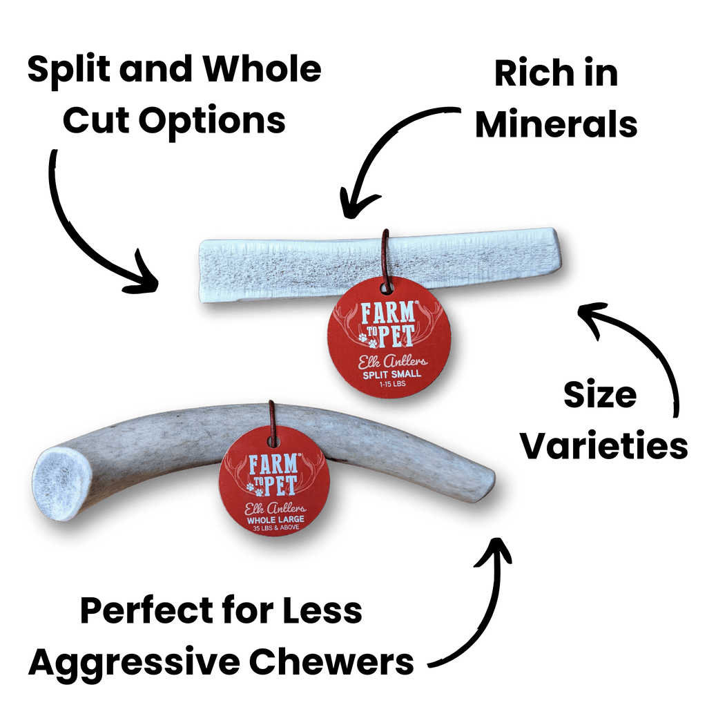 ELK ANTLERS FOR DOGS | WHOLE AND SPLIT ELK ANTLER CHEWS