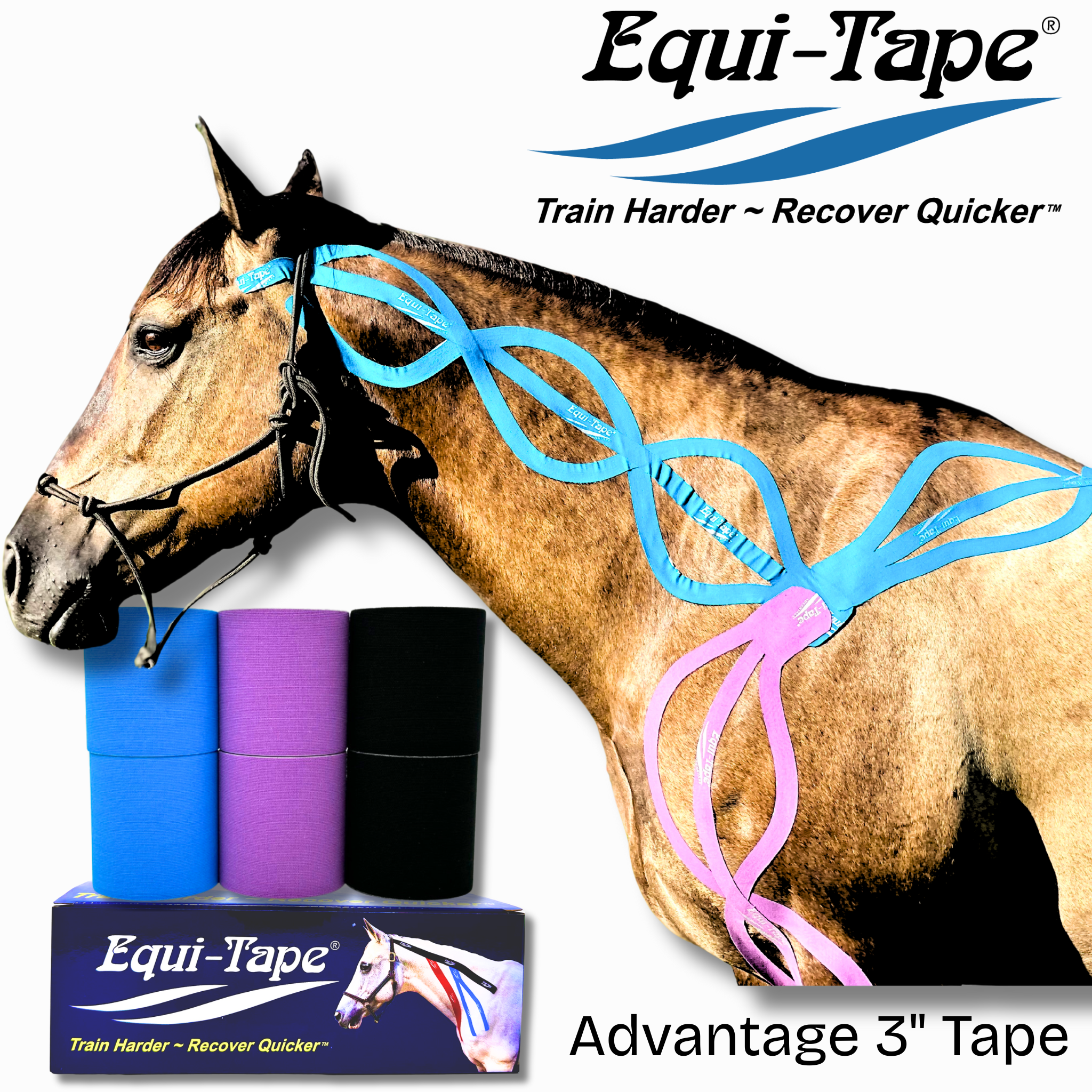 Advantage 3" Color Pack - 2 Rolls (Purple, Teal, Black)