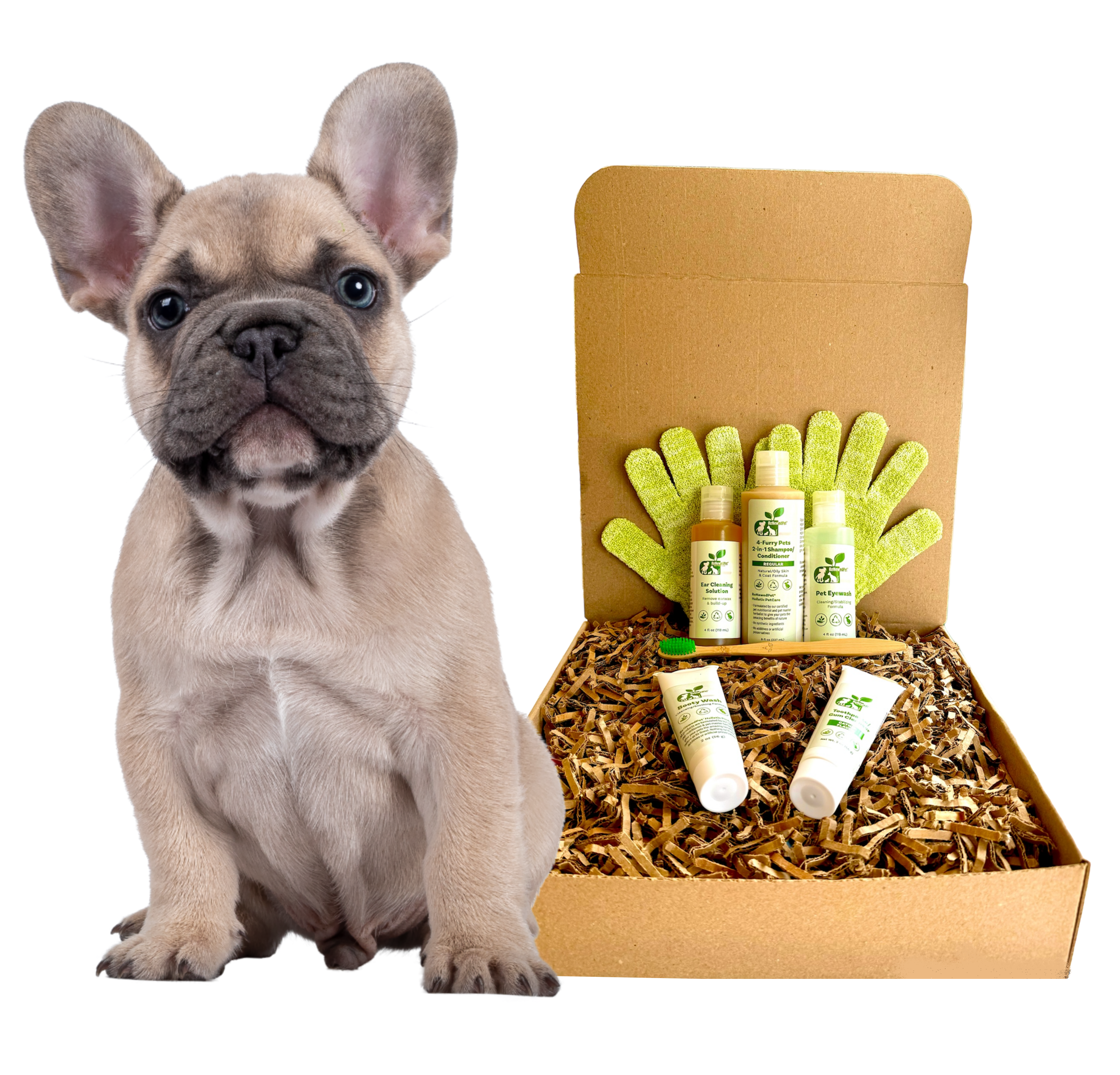 4-FURRY DOGS *REGULAR GROOMING KIT