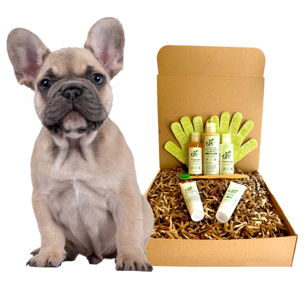 4-FURRY DOGS *REGULAR GROOMING KIT