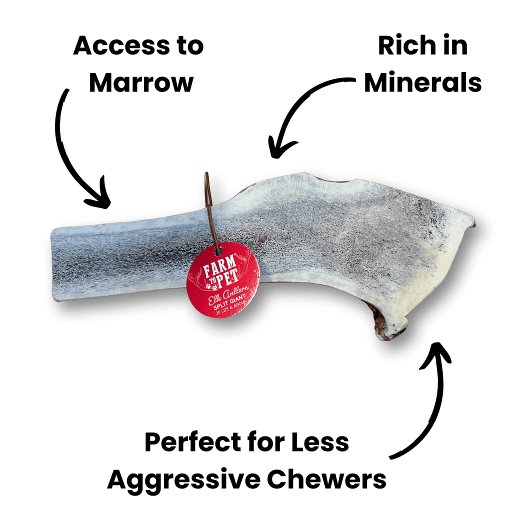 ELK ANTLERS FOR DOGS | WHOLE AND SPLIT ELK ANTLER CHEWS