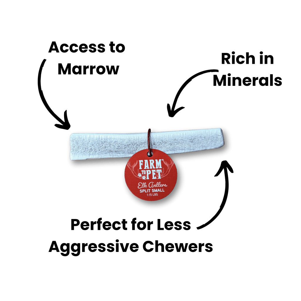 ELK ANTLERS FOR DOGS | WHOLE AND SPLIT ELK ANTLER CHEWS