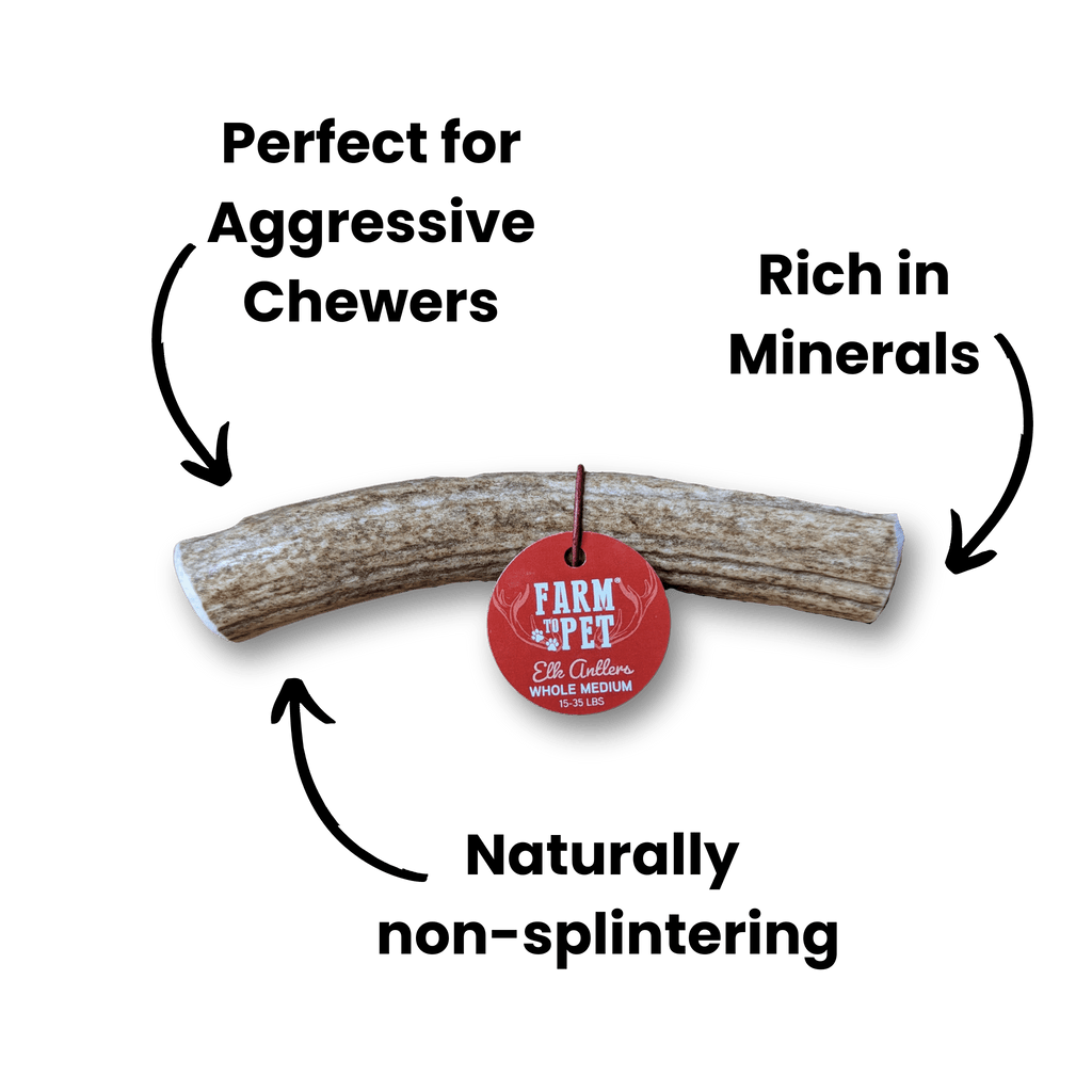 ELK ANTLERS FOR DOGS | WHOLE AND SPLIT ELK ANTLER CHEWS