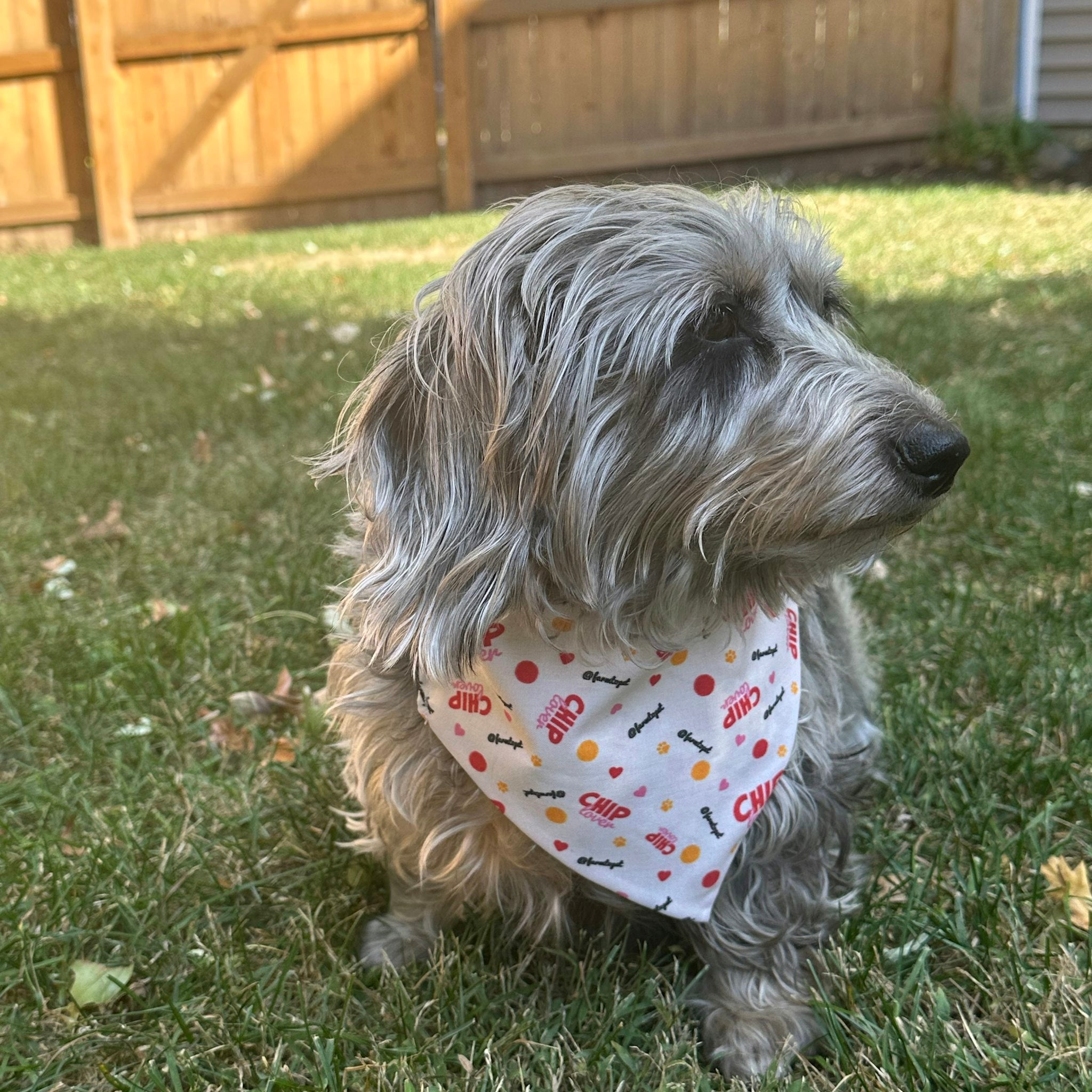 Tie-on Dog Bandana | Adjustable String-tie Bandana for Dogs and Cats
